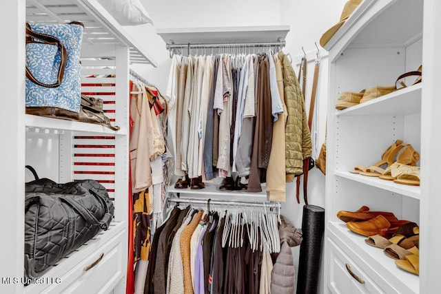 2252 Beach Dr Unit 206, Gulfport, MS 39507 - view of spacious closet