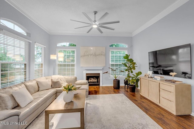 2252 Beach Dr Unit 206, Gulfport, MS 39507 - living room featuring a ceiling fan, dark wood finished floors, ornamental molding, and a fireplace