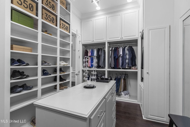 302 Covington Cv, Madison, MS 39110 - spacious closet featuring dark wood-type flooring