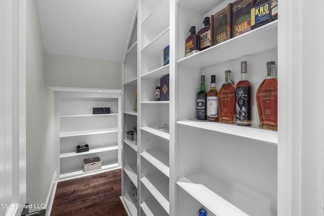 302 Covington Cv, Madison, MS 39110 - view of pantry