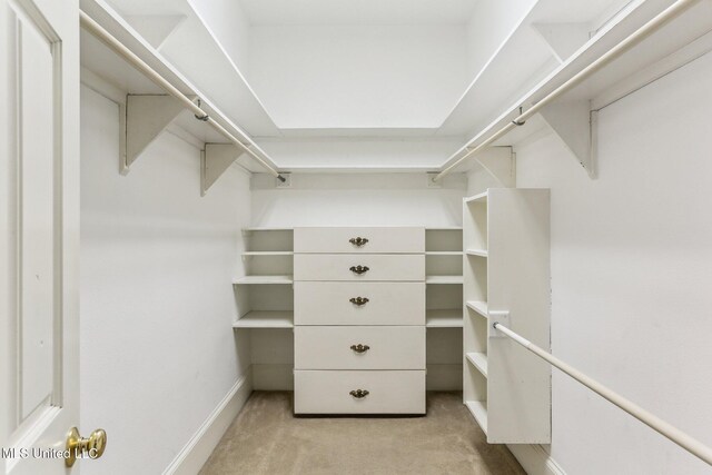 421 Starling Dr, Slidell, LA 70461 - spacious closet featuring light carpet