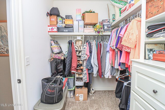 109 Elizabeth Dr, Brandon, MS 39042 - spacious closet with carpet floors