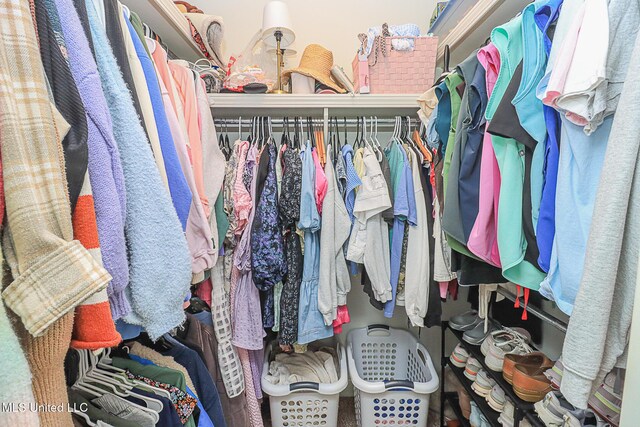 109 Elizabeth Dr, Brandon, MS 39042 - view of walk in closet