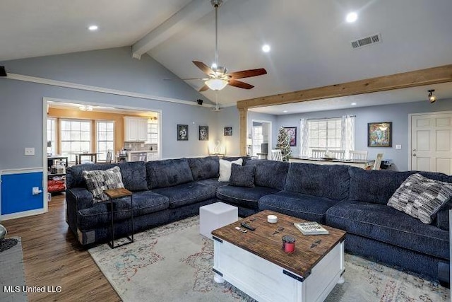 living room featuring lofted ceiling with beams, a wealth of natural light, hardwood / wood-style floors, and ceiling fan