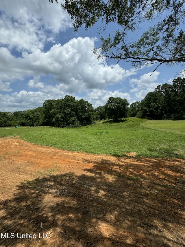 10 E Twin Oaks Ln, Carriere, MS 39426 - view of grassy yard