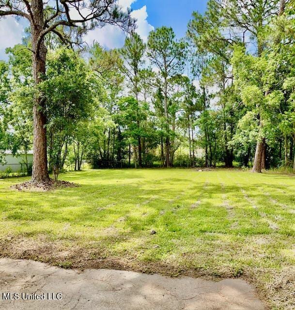 2614 George St, Gulfport, MS 39503 - view of green lawn