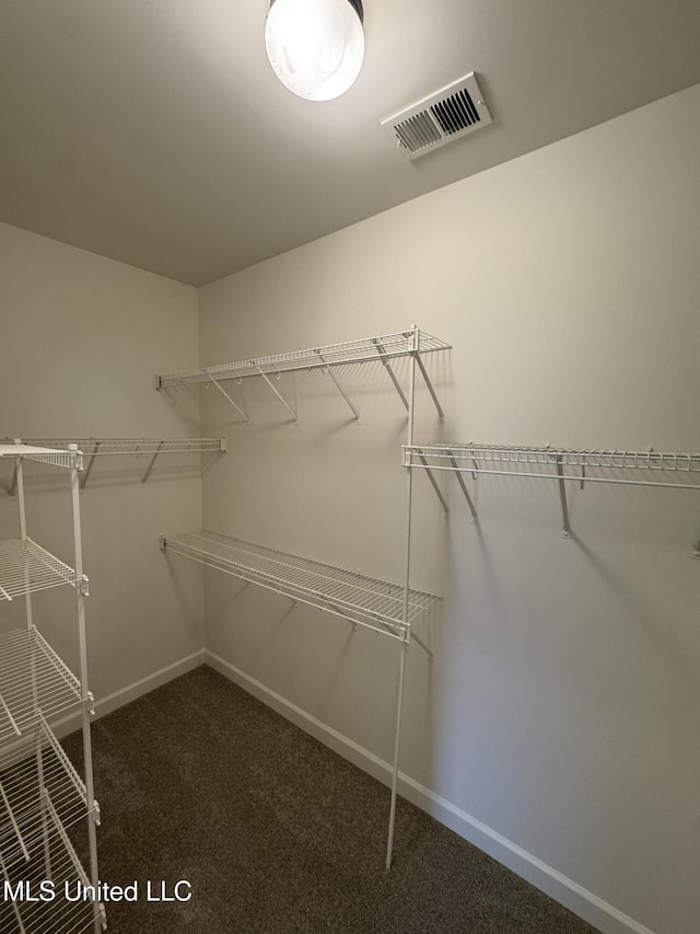 spacious closet with carpet flooring and visible vents