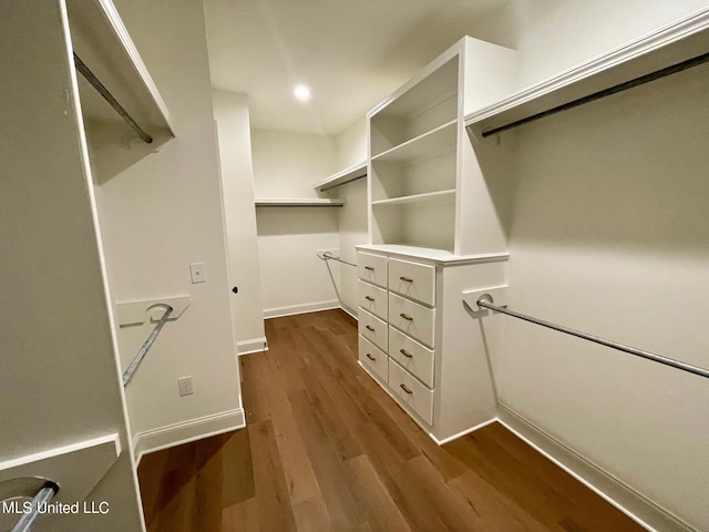 walk in closet featuring hardwood / wood-style flooring