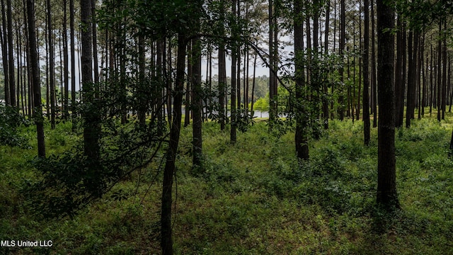 0000 Pleasant Ridge Rd, Hickory, MS 39332