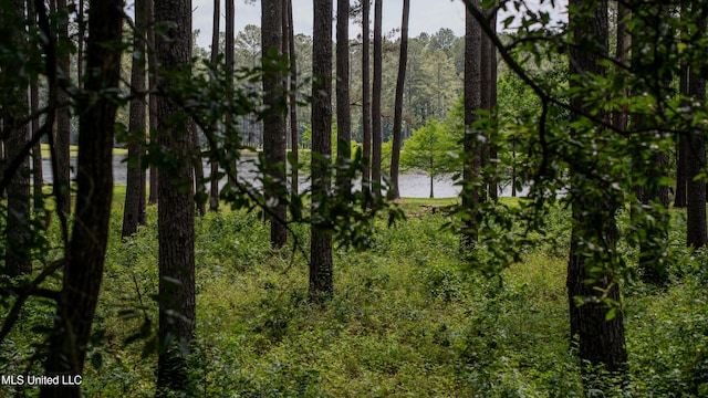 0000 Pleasant Ridge Rd, Hickory, MS 39332