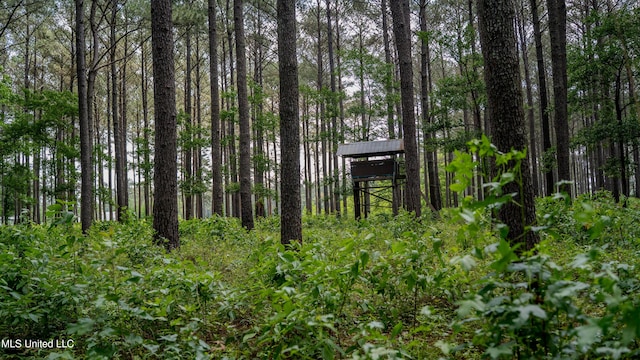 0000 Pleasant Ridge Rd, Hickory, MS 39332