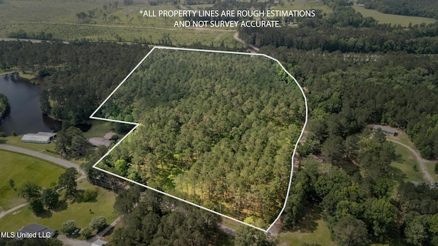 0000 Pleasant Ridge Rd, Hickory, MS 39332
