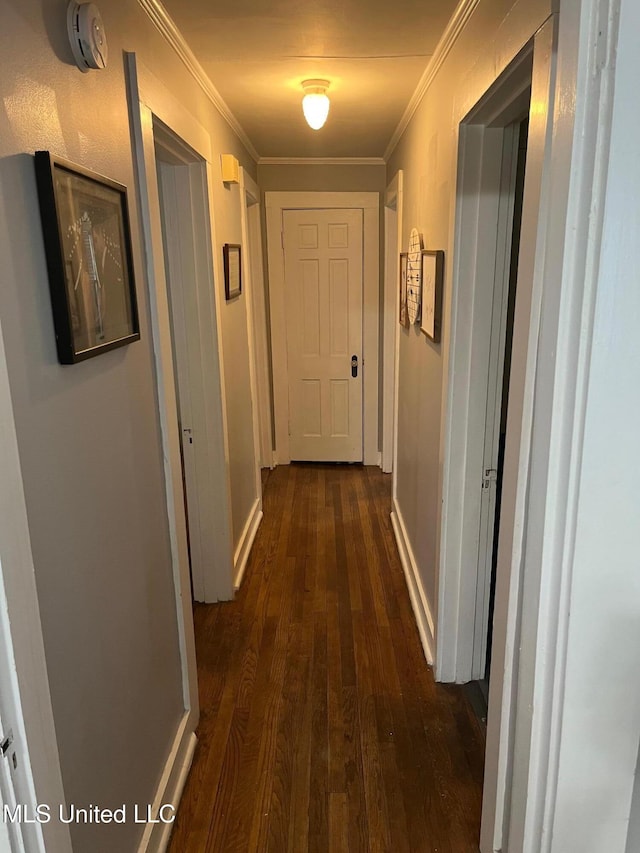 409 Coleman St, Como, MS 38619 - corridor with dark wood finished floors and ornamental molding