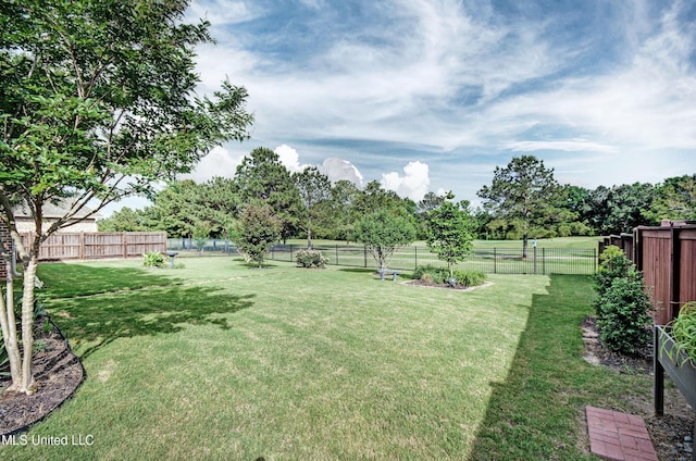 view of yard with a fenced backyard