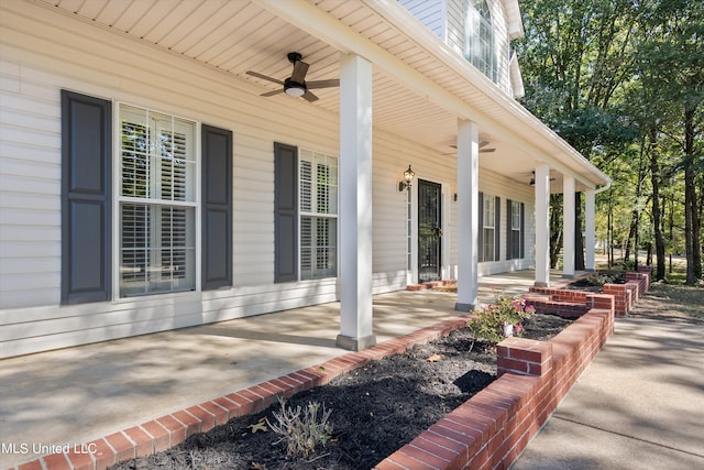 view of patio / terrace featuring covered porch and ceiling fan