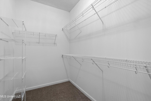 walk in closet with dark colored carpet