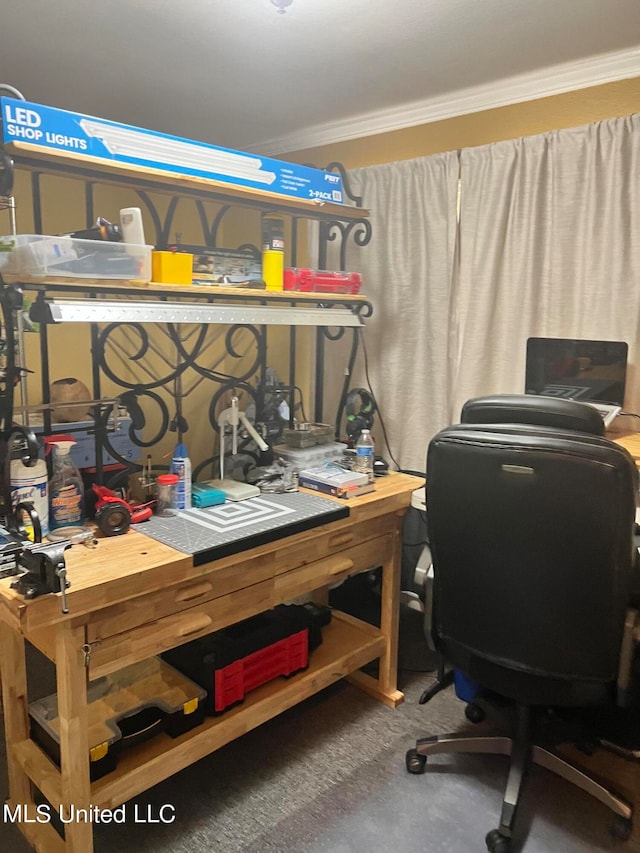 office area featuring crown molding, carpet flooring, and a workshop area