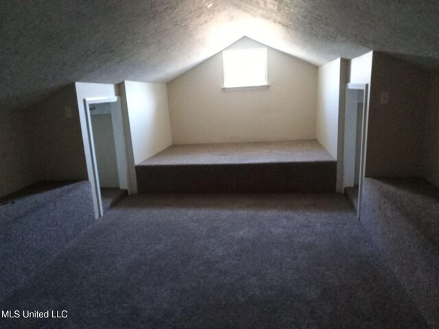 9219 Anding Oil City Rd, Bentonia, MS 39040 - bonus room featuring a textured ceiling, lofted ceiling, and carpet floors