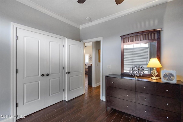 bedroom with crown molding, ceiling fan, dark hardwood / wood-style flooring, and a closet