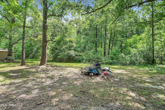 839 Herrin Dr, Picayune, MS 39466 - view of yard with a wooded view