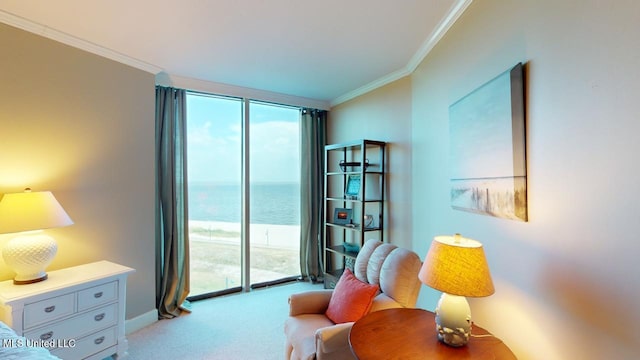 living area with light carpet, ornamental molding, and a water view