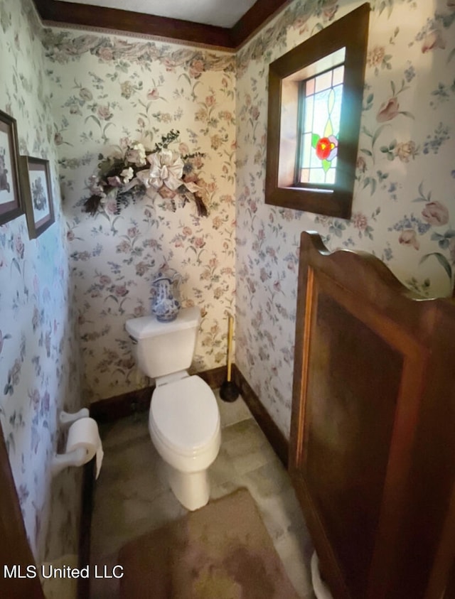 bathroom featuring toilet