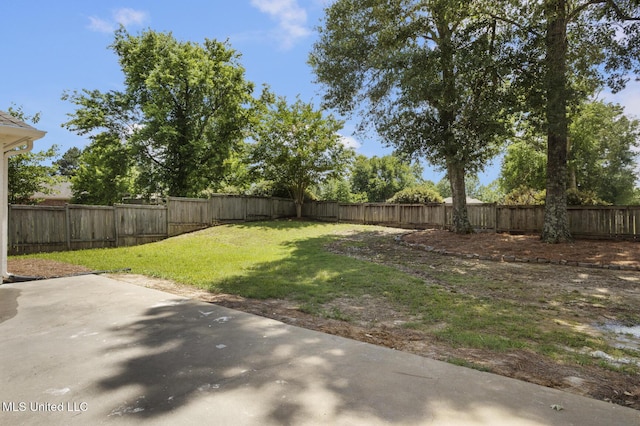119 Middle Field Dr, Canton, MS 39046 - view of yard featuring a patio