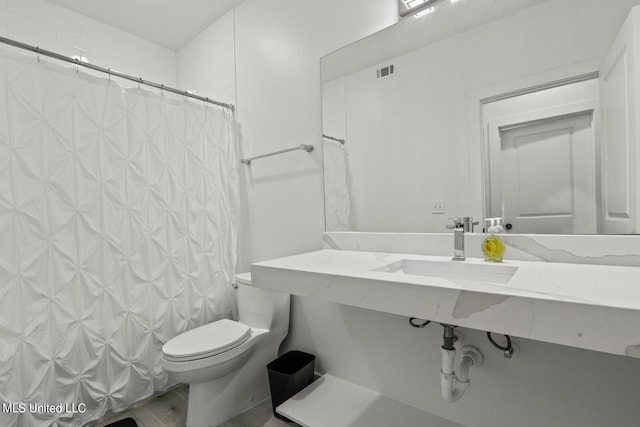 bathroom with sink, toilet, and walk in shower