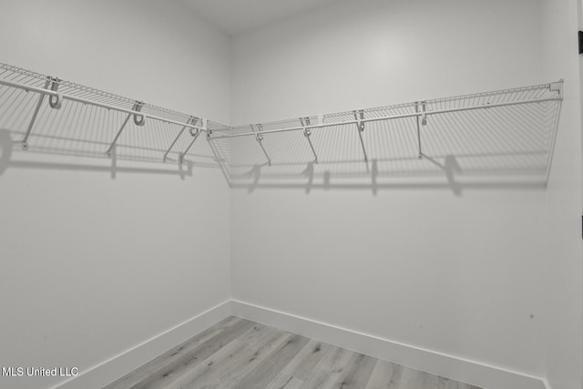 1302 Magnolia St Unit 109, Gulfport, MS 39501 - spacious closet with light wood-style floors