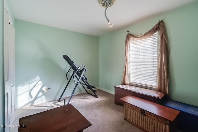 workout room with light colored carpet and a wealth of natural light