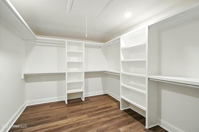 280 Bobby Ln, Picayune, MS 39466 - walk in closet featuring attic access and dark wood finished floors