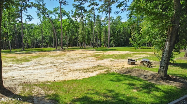 280 Bobby Ln, Picayune, MS 39466 - view of property's community with a yard and a wooded view