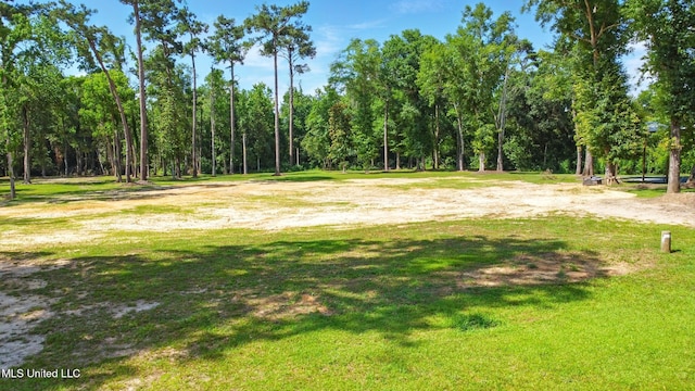 280 Bobby Ln, Picayune, MS 39466 - view of home's community with a yard and a view of trees