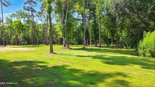 280 Bobby Ln, Picayune, MS 39466 - view of green lawn