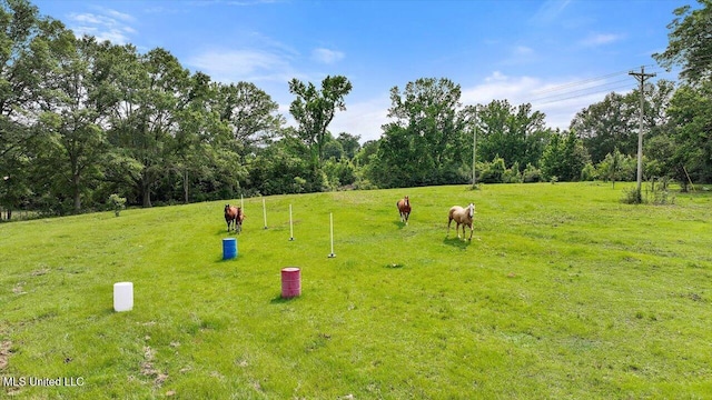 1563 Dry Creek Rd, Magee, MS 39111 - view of property's community with a view of rural / pastoral area