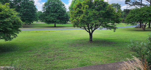 view of grassy yard