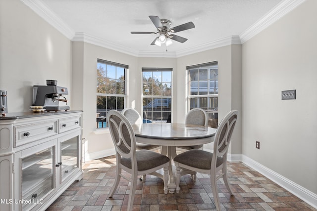 dining room with ceiling fan and crown molding