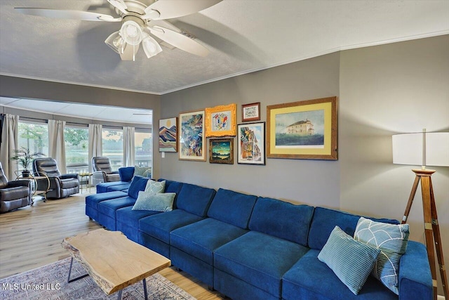 363 Lake Harbor Rd, Brandon, MS 39047 - living area with light wood-style floors, a ceiling fan, and ornamental molding