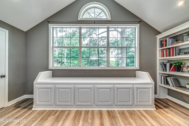 363 Lake Harbor Rd, Brandon, MS 39047 - unfurnished room with lofted ceiling, plenty of natural light, light wood-style flooring, and baseboards