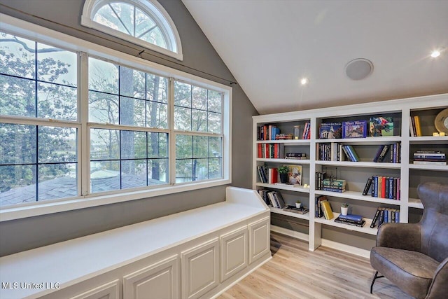 363 Lake Harbor Rd, Brandon, MS 39047 - sitting room featuring lofted ceiling and light wood-style floors