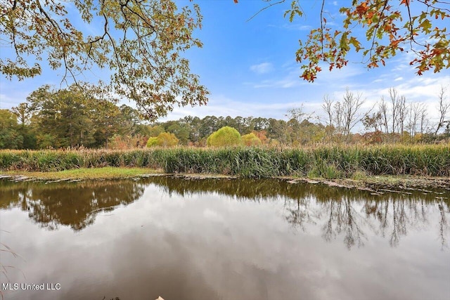 363 Lake Harbor Rd, Brandon, MS 39047 - water view