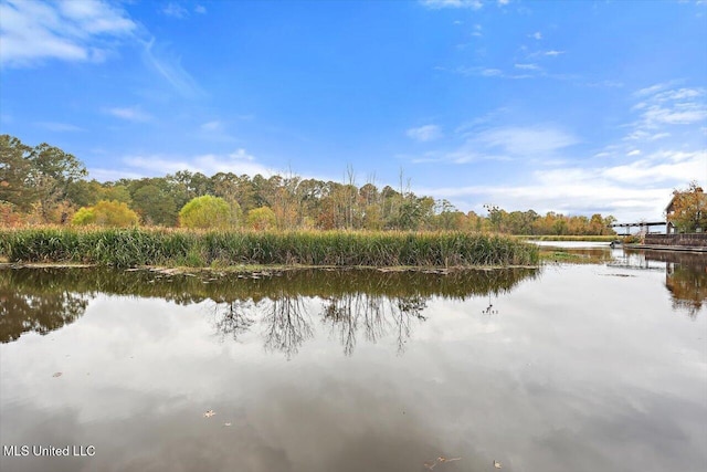 363 Lake Harbor Rd, Brandon, MS 39047 - water view