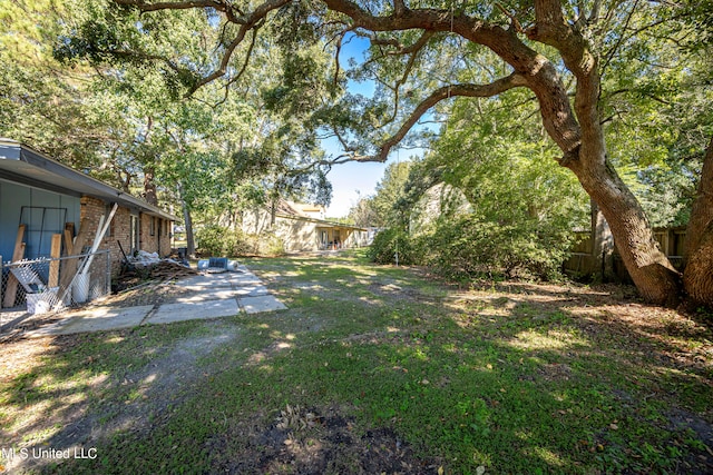 view of yard featuring a patio