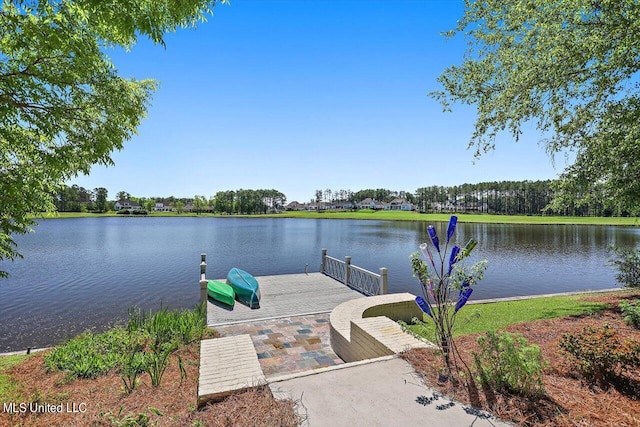 dock area with a water view