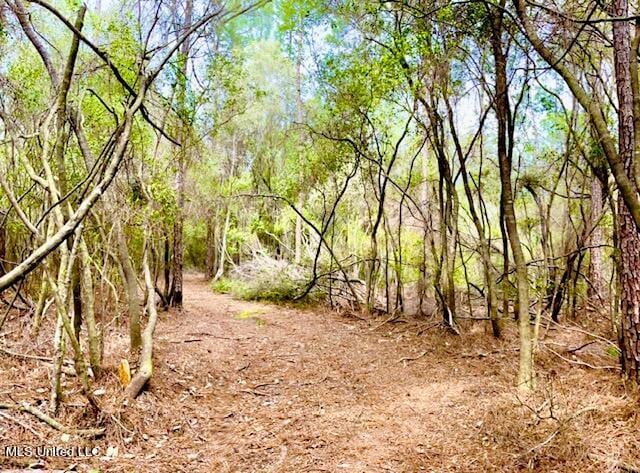 15429 Indian Fork Rd, Vancleave, MS 39565