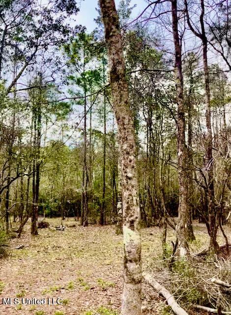 15429 Indian Fork Rd, Vancleave, MS 39565
