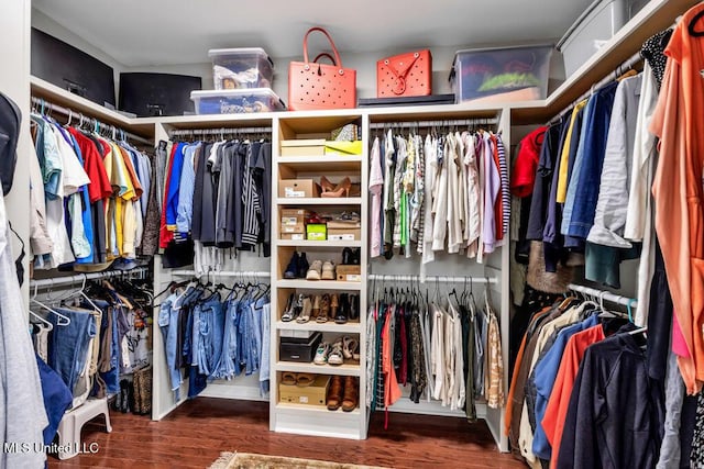 807 Woodglen Dr, Ocean Springs, MS 39564 - spacious closet with wood finished floors