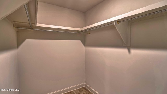 spacious closet featuring wood finished floors