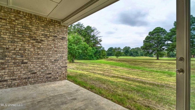 view of yard featuring a patio area
