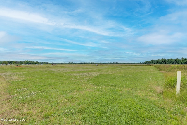 view of yard featuring a rural view